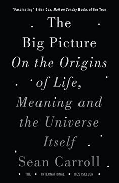 portada The Big Picture: On the Origins of Life, Meaning, and the Universe Itself