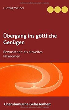 portada Übergang ins göttliche Genügen (German Edition)