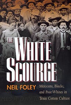 portada The White Scourge: Mexicans, Blacks, and Poor Whites in Texas Cotton Culture (American Crossroads) (en Inglés)