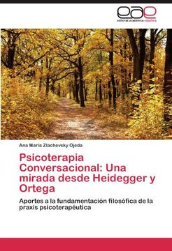 portada psicoterapia conversacional: una mirada desde heidegger y ortega (in Spanish)