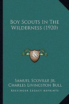portada boy scouts in the wilderness (1920) (in English)