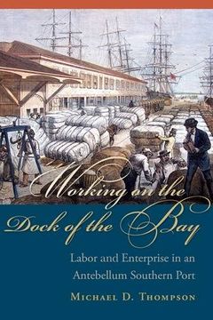 portada Working on the Dock of the Bay: Labor and  Enterprise in an Antebellum Southern Port (Carolina Lowcountry and the Atlantic World)