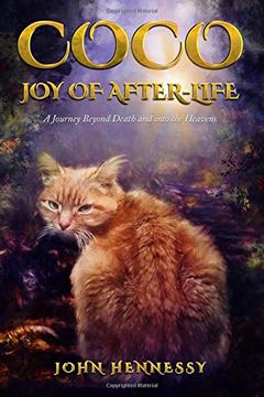 portada Coco: Joy of After-Life (a Journey Beyond Death and Into the Heavens) (in English)