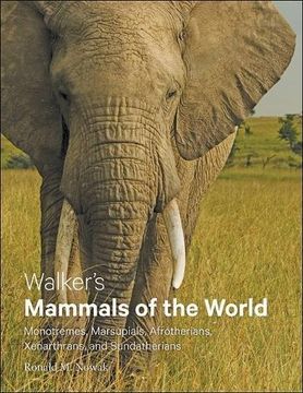 portada Walker's Mammals of the World: Monotremes, Marsupials, Afrotherians, Xenarthrans, and Sundatherians (en Inglés)