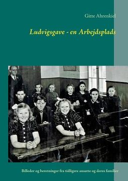 portada Ludvigsgave - en Arbejdsplads: Billeder og beretninger fra tidligere ansatte og deres familier (en Danés)