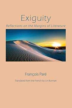 portada Exiguity: Reflections on the Margins of Literature (en Inglés)