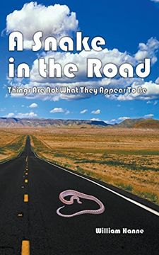 portada A Snake in the Road: A different take on the U.S. involvement in Vietnam