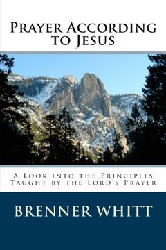 portada Prayer According to Jesus: A Look into the Principles Taught by the Lord's Prayer