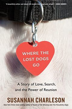 portada Where the Lost Dogs go: A Story of Love, Search, and the Power of Reunion (in English)