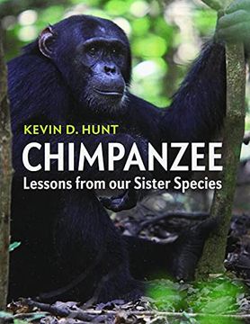 portada Chimpanzee: Lessons From our Sister Species (in English)