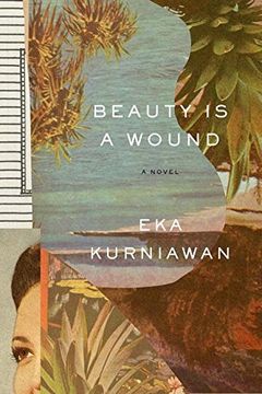 portada Beauty Is a Wound (in English)