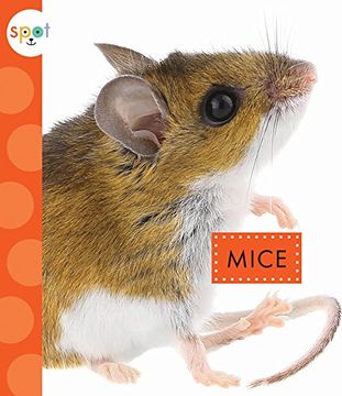 portada Mice (Spot Backyard Animals)