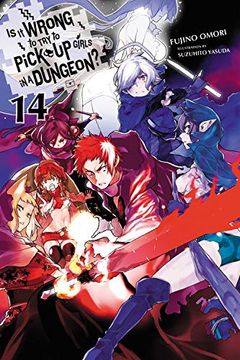 portada Is it Wrong to try to Pick up Girls in a Dungeon? , Vol. 14 (Light Novel) (en Inglés)