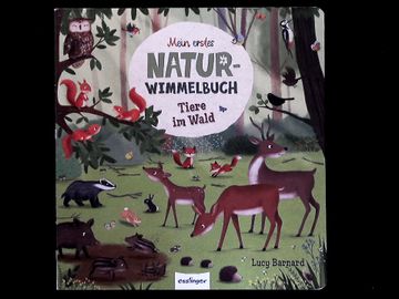 portada Mein Erstes Natur-Wimmelbuch - Tiere im Wald (in German)