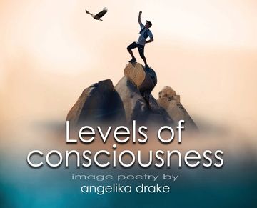 portada Levels of Consciousness (en Inglés)