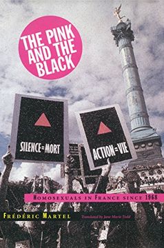 portada The Pink and the Black: Homosexuals in France Since 1968 (in English)