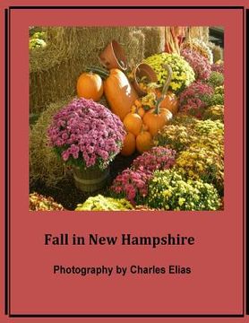 portada Fall in New Hampshire (en Inglés)