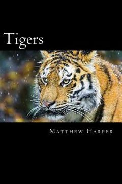 portada Tigers: A Fascinating Book Containing Tiger Facts, Trivia, Images & Memory Recall Quiz: Suitable for Adults & Children (en Inglés)