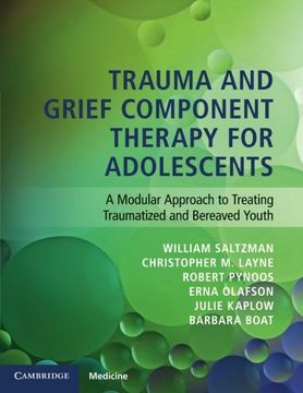 portada Trauma and Grief Component Therapy for Adolescents: A Modular Approach to Treating Traumatized and Bereaved Youth (in English)