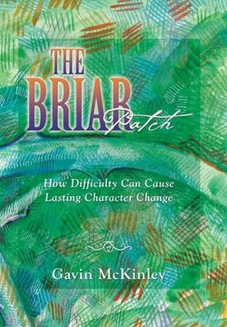 portada The Briar Patch: How Difficulty Can Cause Lasting Character Change (en Inglés)