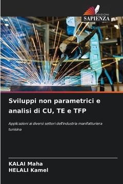 portada Sviluppi non parametrici e analisi di CU, TE e TFP (en Italiano)