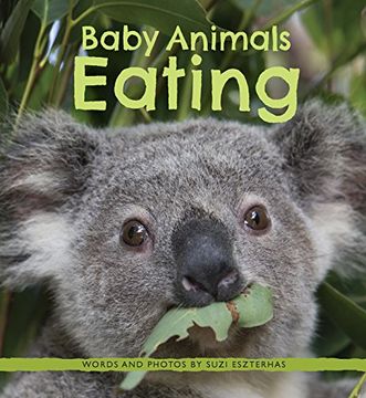 portada Baby Animals Eating (en Inglés)
