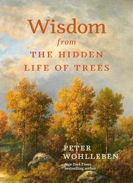 portada Wisdom From the Hidden Life of Trees (en Inglés)