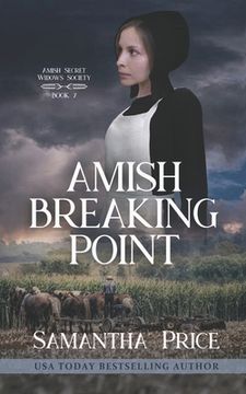portada Amish Breaking Point (in English)