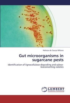 portada Gut Microorganisms in Sugarcane Pests