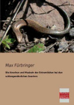 portada Die Knochen und Muskeln der Extremitäten bei den Schlangenähnlichen Sauriern (in German)