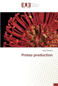 portada Protea production