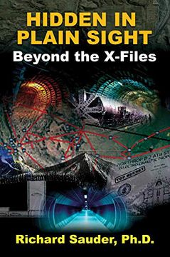 portada Hidden in Plain Sight: Beyond the X-Files (in English)