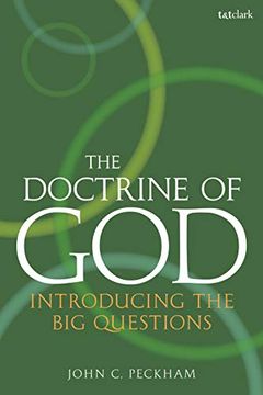 portada The Doctrine of God: Introducing the big Questions (in English)