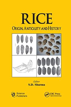 portada Rice: Origin, Antiquity and History (en Inglés)
