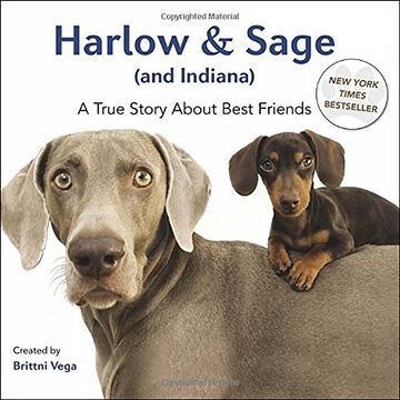 portada Harlow & Sage (and Indiana): A True Story about Best Friends