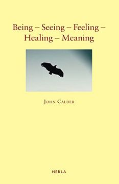portada Being - Seeing - Feeling - Healing - Meaning (in English)