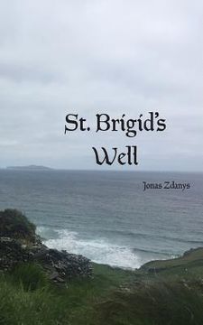 portada St. Brigid's Well (in English)