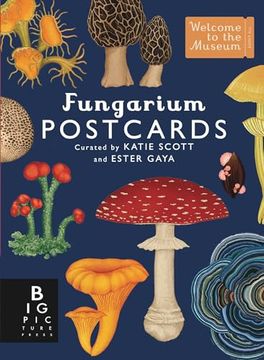 Fungarium Postcard box set (Welcome to the Museum) (en Inglés)
