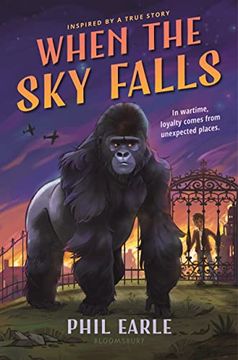 portada When the sky Falls (en Inglés)