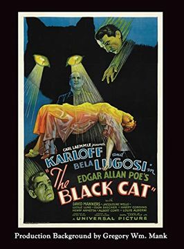 portada The Black cat (Hardback) (in English)