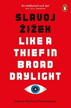 portada Like a Thief in Broad Daylight: Power in the era of Post-Humanity 