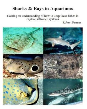portada Sharks & Rays in Aquariums: Gaining an understanding of how to keep these fishes in captive saltwater systems (en Inglés)