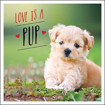 portada Love Is a Pup: A Dog-Tastic Celebration of the World's Cutest Puppies (en Inglés)