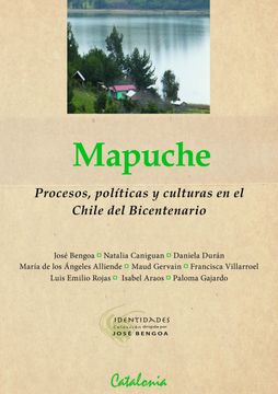 portada Mapuche. Procesos, Políticas y Culturas en el Chile del Bicentenario. (in Spanish)
