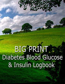 portada Big Print Diabetes Blood Sugar and Insulin log 