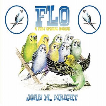 portada flo: a very special budgie (in English)