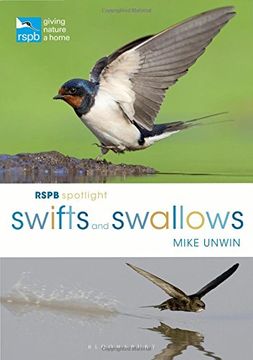 portada Rspb Spotlight Swifts and Swallows