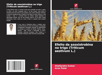 portada Efeito da Azoxistrobina no Trigo (in Portuguese)