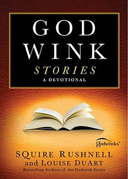 portada Godwink Stories: A Devotional (The Godwink Series) (in English)