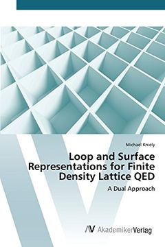 portada Loop and Surface Representations for Finite Density Lattice QED